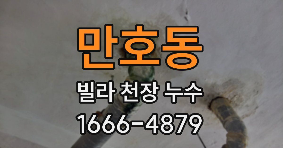 만호동 빌라 천장 누수