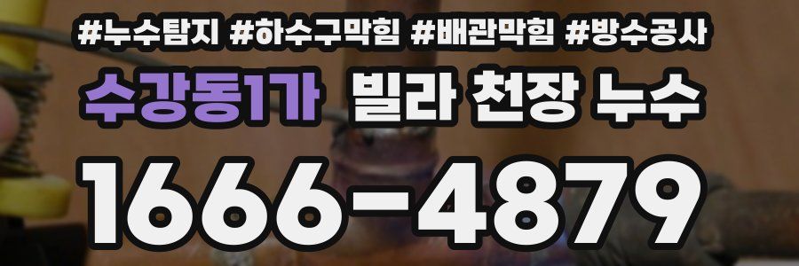 수강동1가 빌라 천장 누수