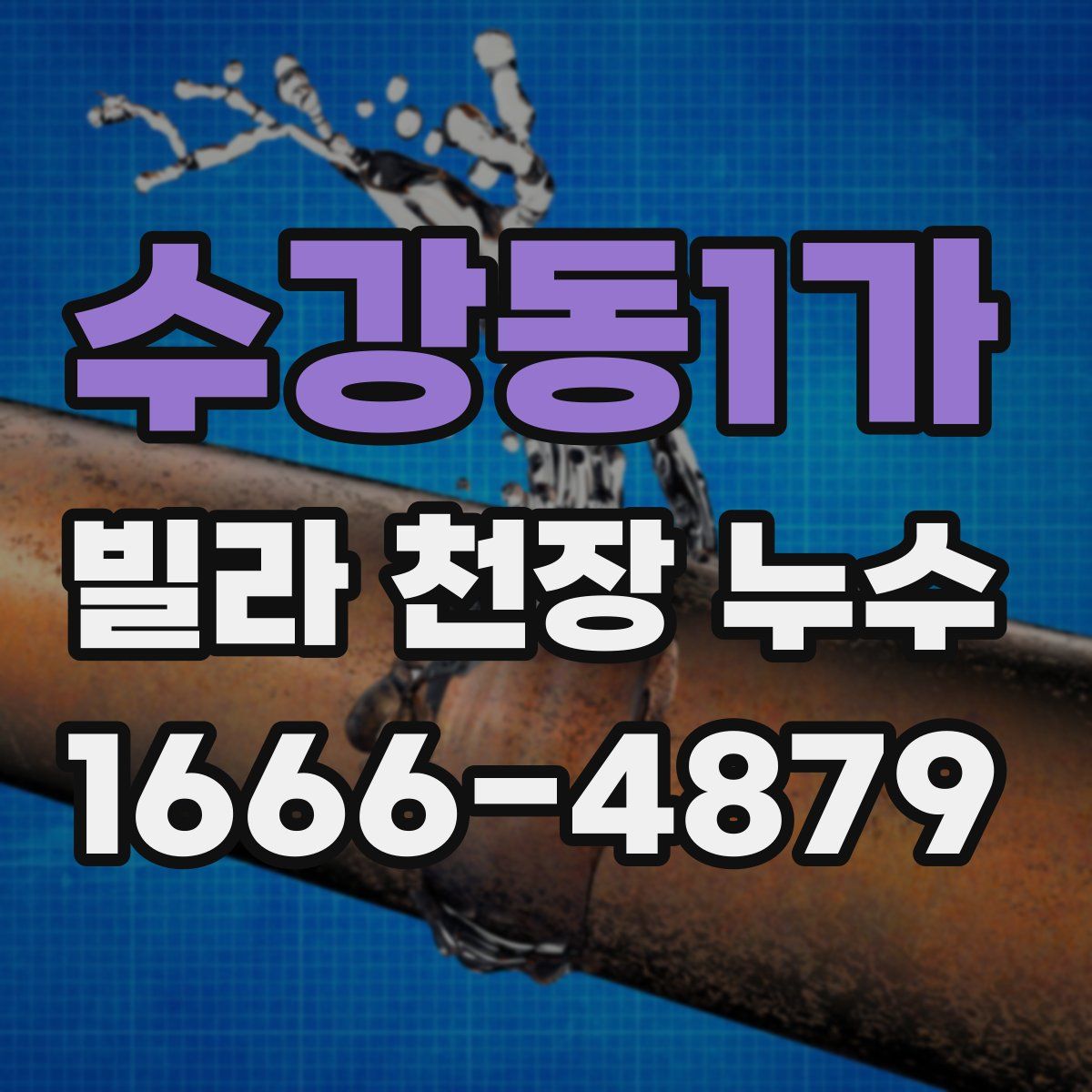 수강동1가 빌라 천장 누수