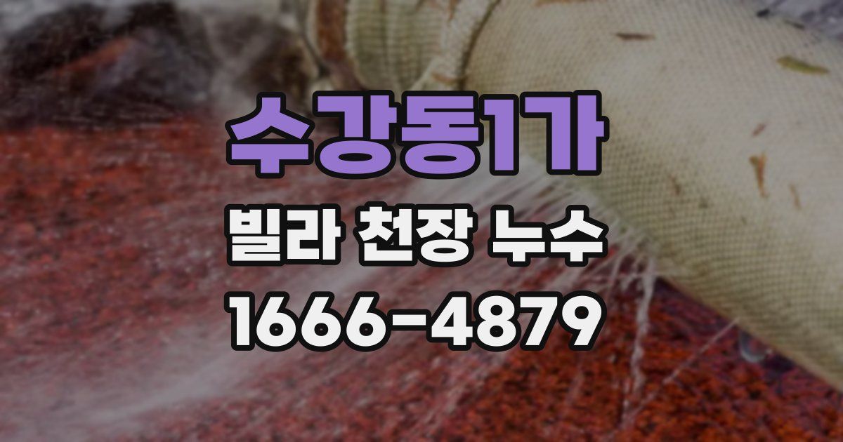 수강동1가 빌라 천장 누수