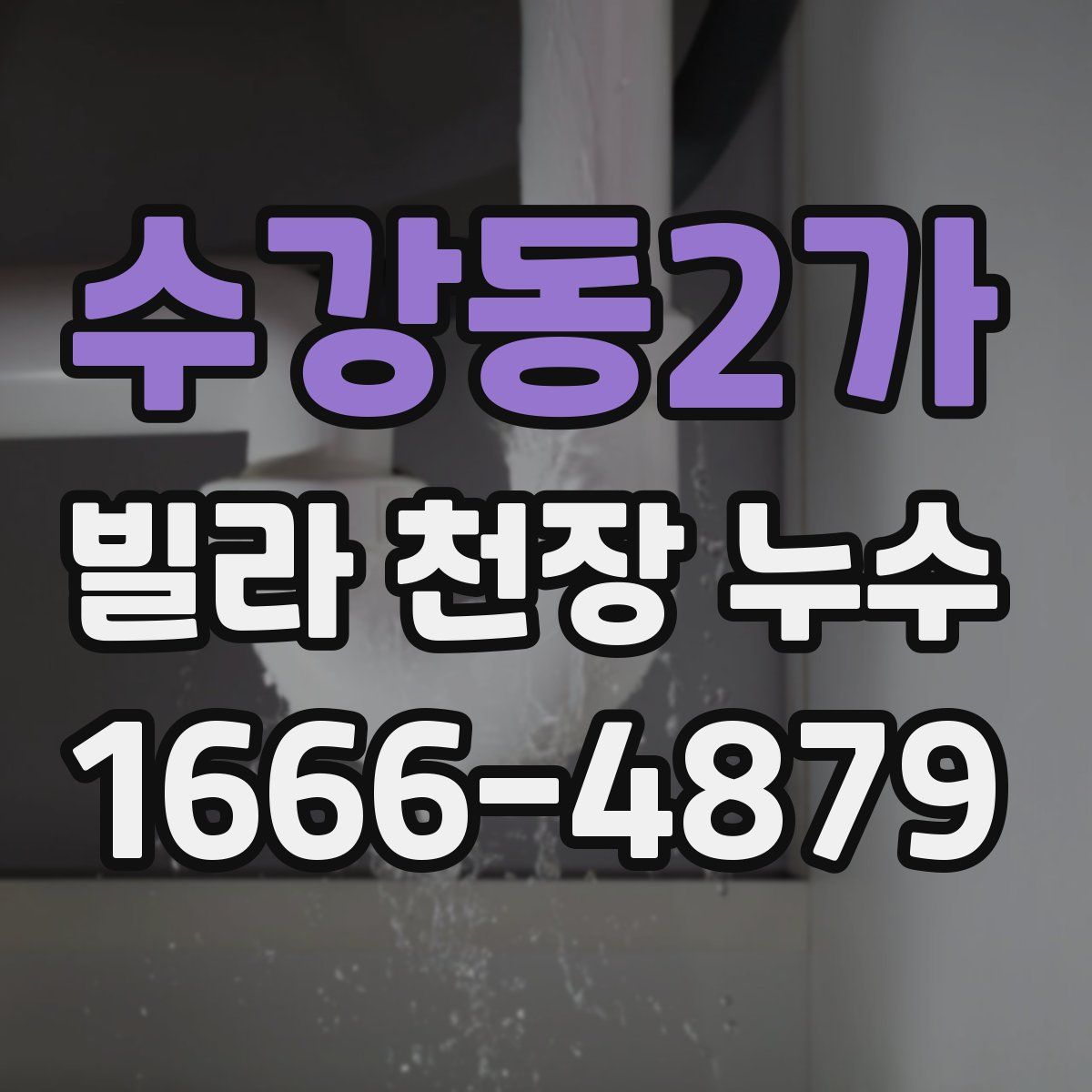 수강동2가 빌라 천장 누수