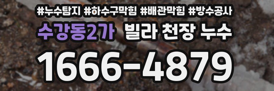 수강동2가 빌라 천장 누수