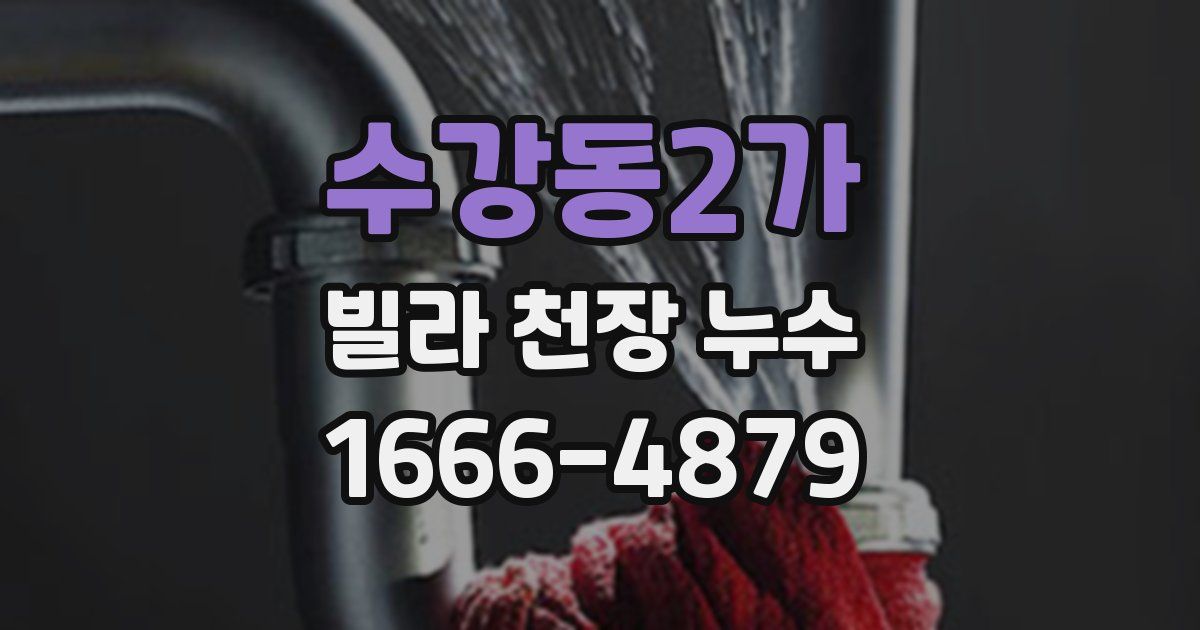 수강동2가 빌라 천장 누수