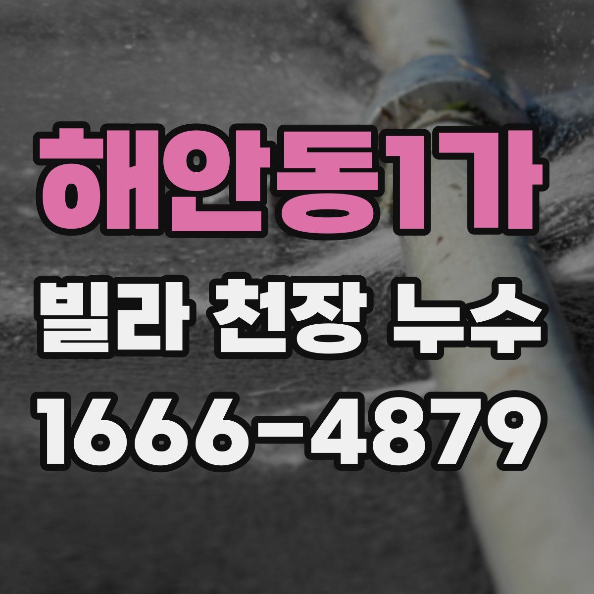 해안동1가 빌라 천장 누수