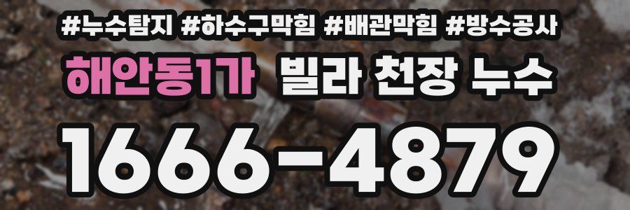 해안동1가 빌라 천장 누수