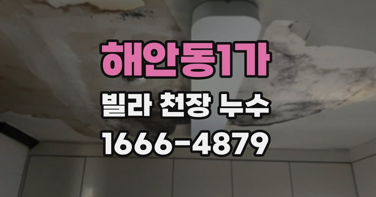 해안동1가 빌라 천장 누수