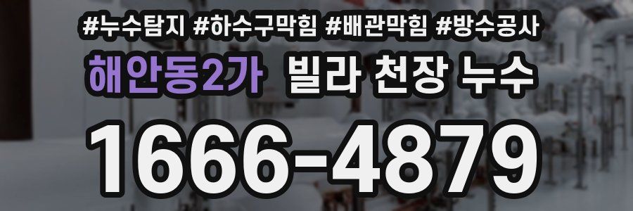 해안동2가 빌라 천장 누수