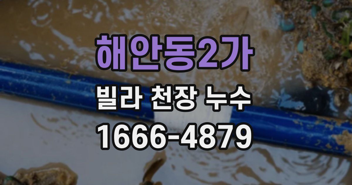 해안동2가 빌라 천장 누수
