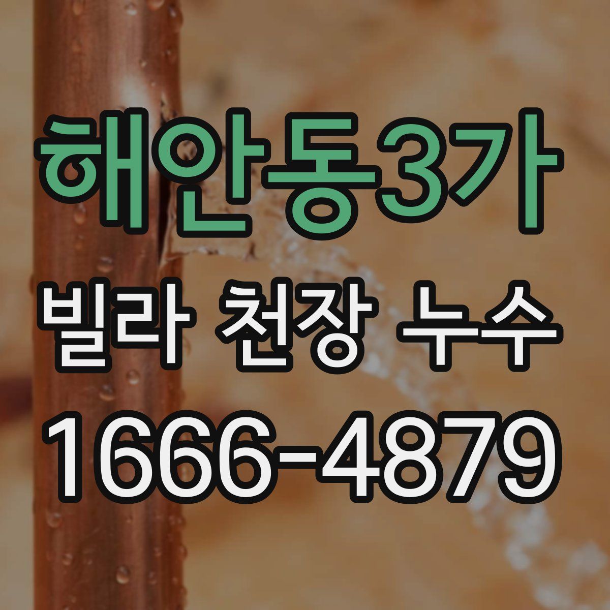 해안동3가 빌라 천장 누수