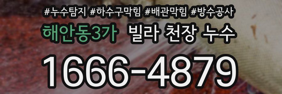 해안동3가 빌라 천장 누수