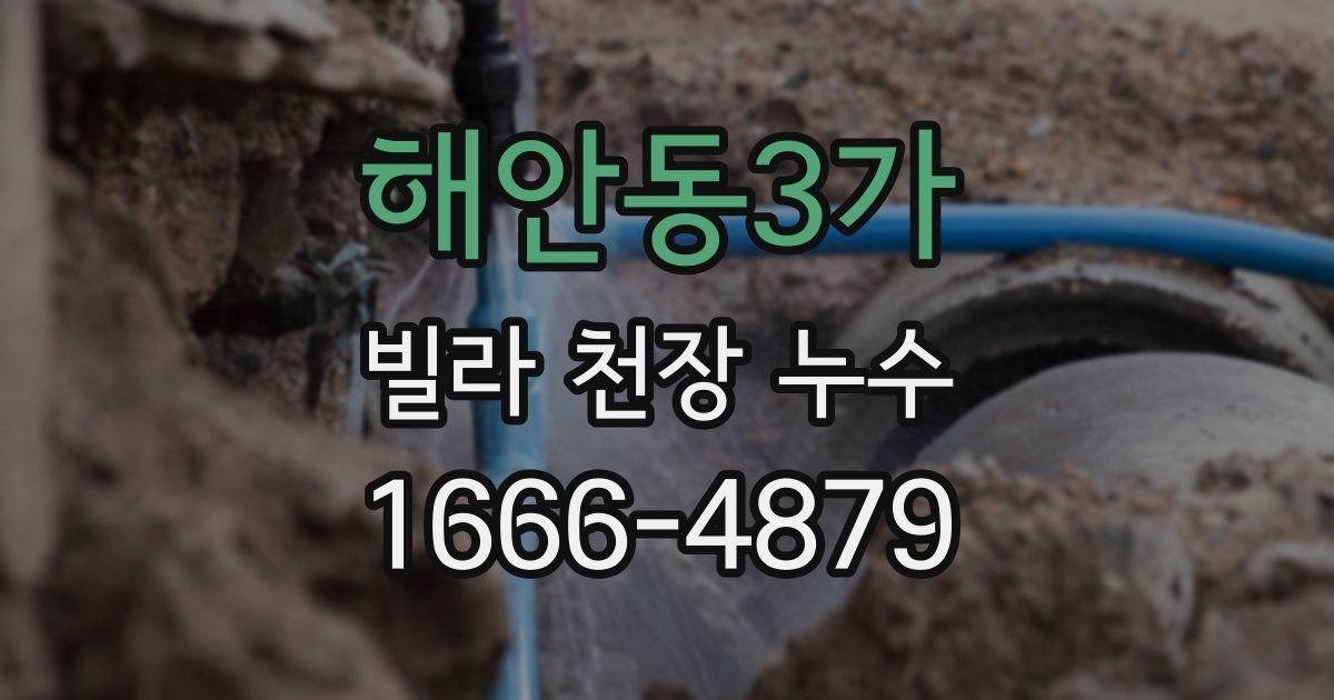 해안동3가 빌라 천장 누수