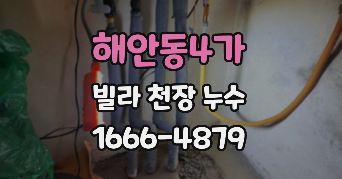 해안동4가 빌라 천장 누수