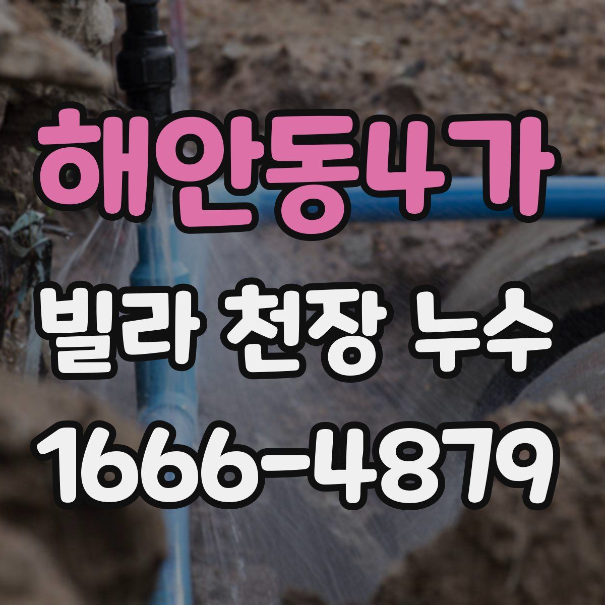 해안동4가 빌라 천장 누수