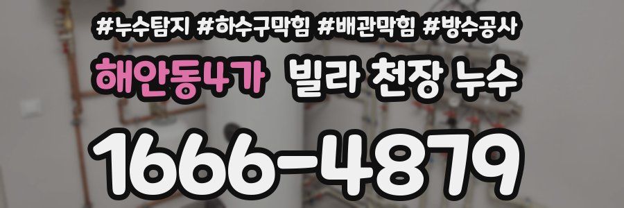 해안동4가 빌라 천장 누수