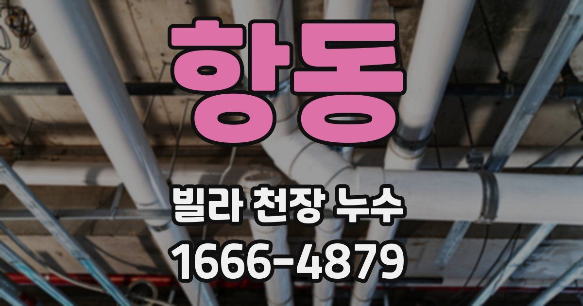항동 빌라 천장 누수