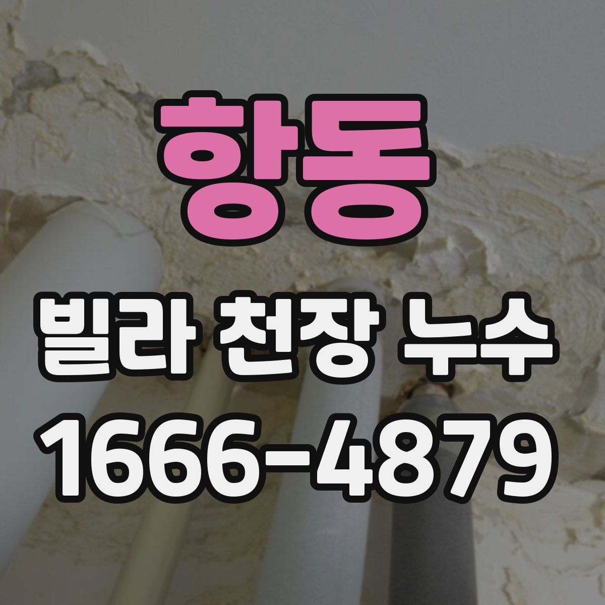 항동 빌라 천장 누수