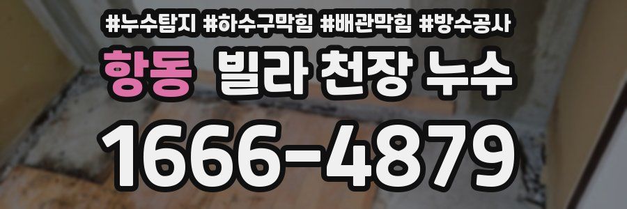 항동 빌라 천장 누수