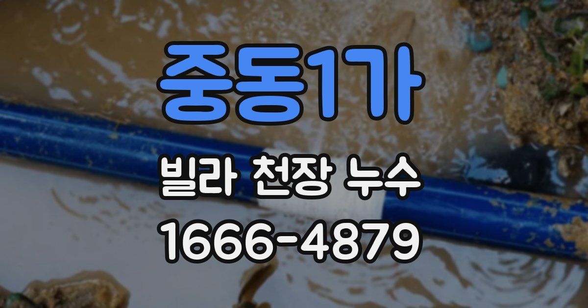 중동1가 빌라 천장 누수