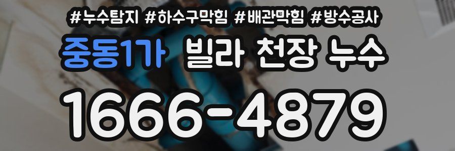 중동1가 빌라 천장 누수