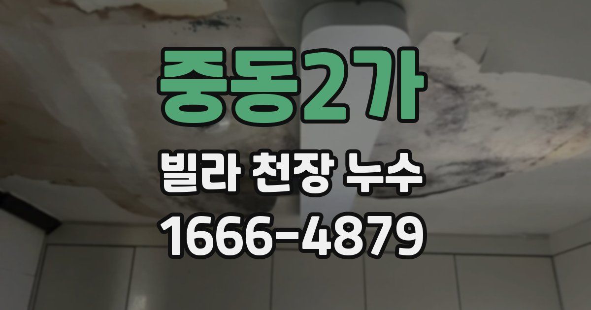 중동2가 빌라 천장 누수