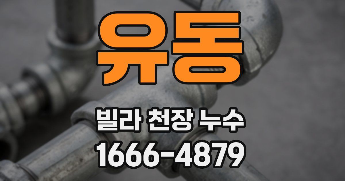 유동 빌라 천장 누수