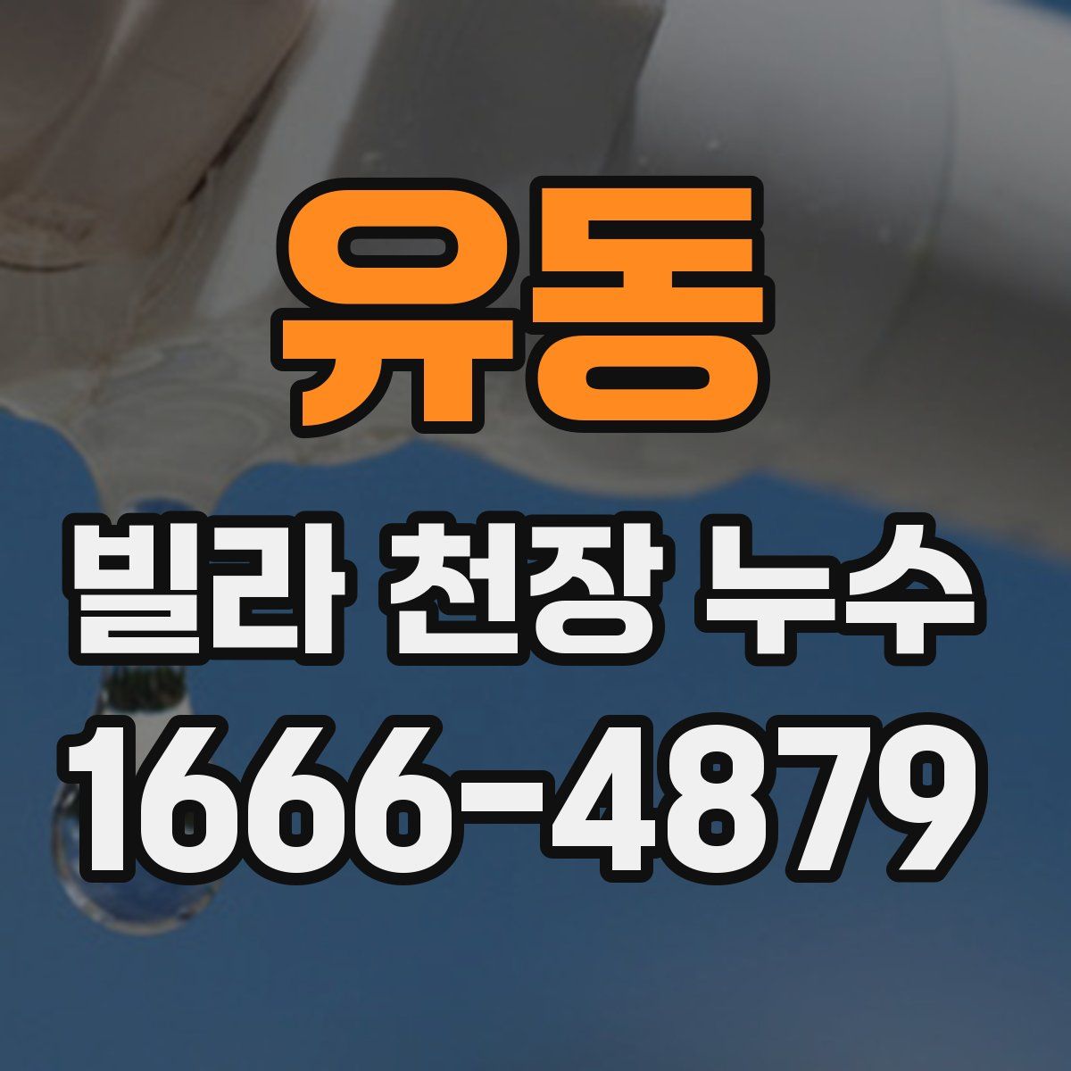 유동 빌라 천장 누수