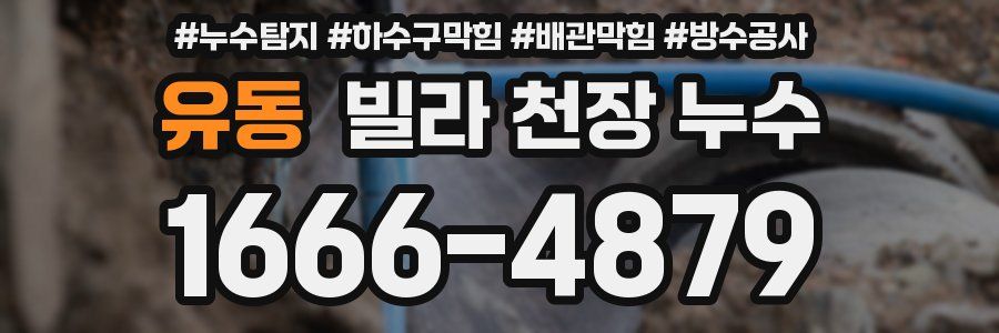 유동 빌라 천장 누수