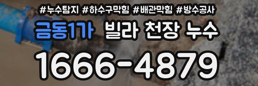 금동1가 빌라 천장 누수