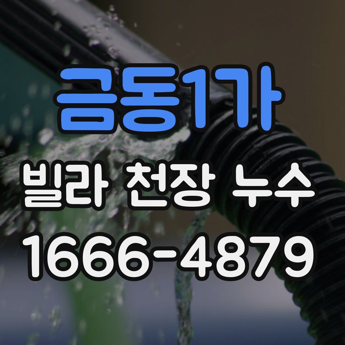 금동1가 빌라 천장 누수