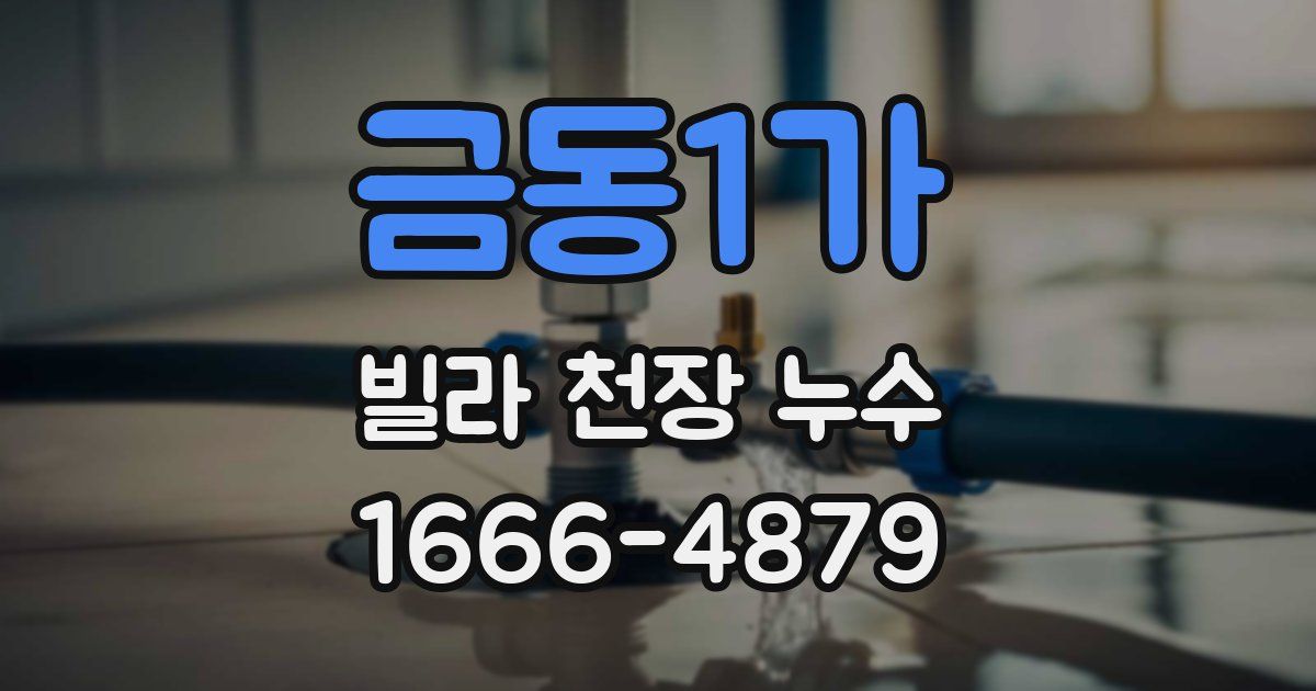 금동1가 빌라 천장 누수