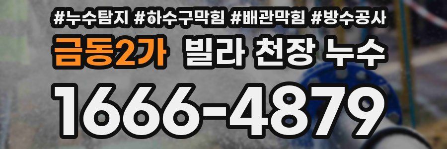 금동2가 빌라 천장 누수