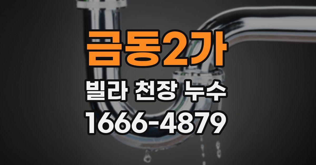 금동2가 빌라 천장 누수
