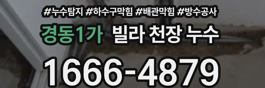 경동1가 빌라 천장 누수