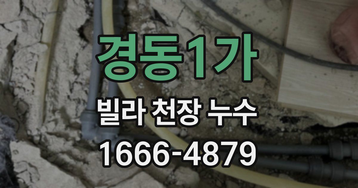 경동1가 빌라 천장 누수