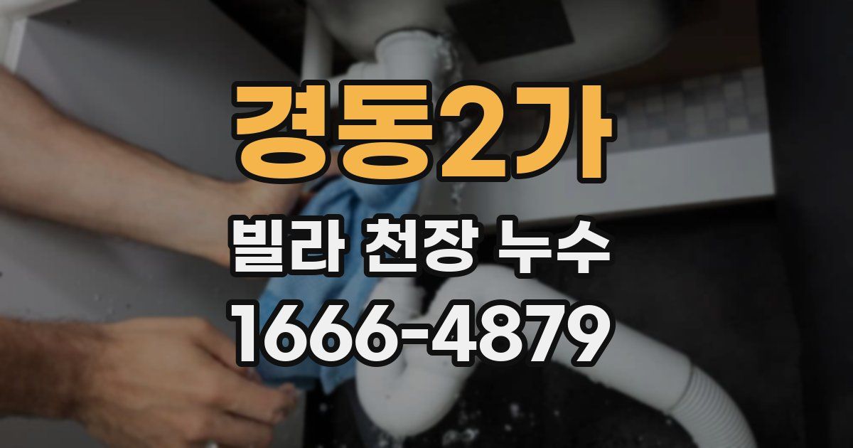 경동2가 빌라 천장 누수