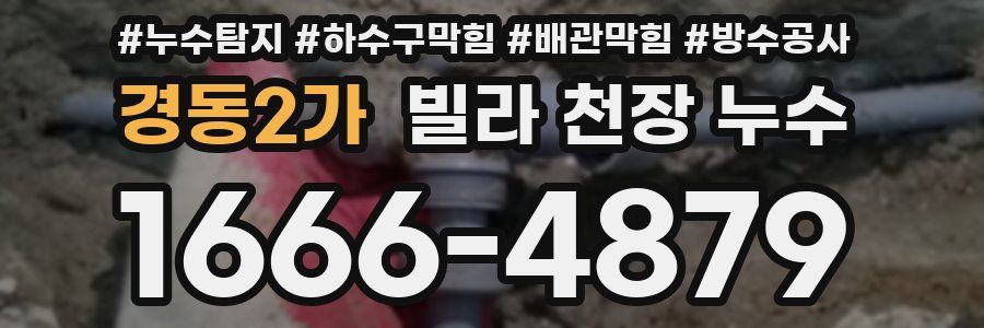 경동2가 빌라 천장 누수