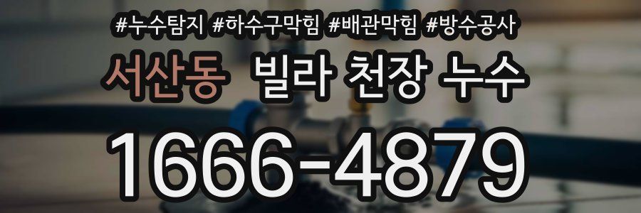 서산동 빌라 천장 누수