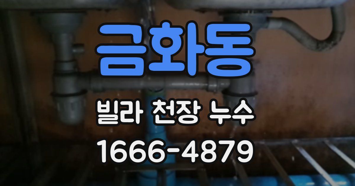 금화동 빌라 천장 누수