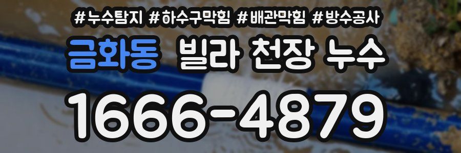 금화동 빌라 천장 누수