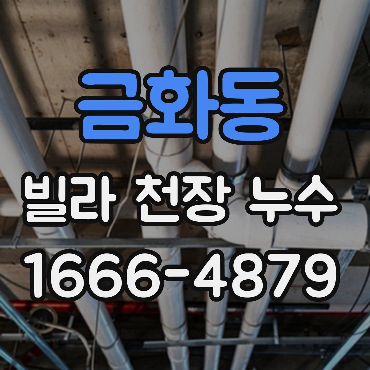 금화동 빌라 천장 누수