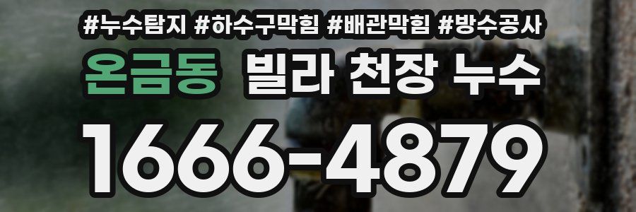 온금동 빌라 천장 누수