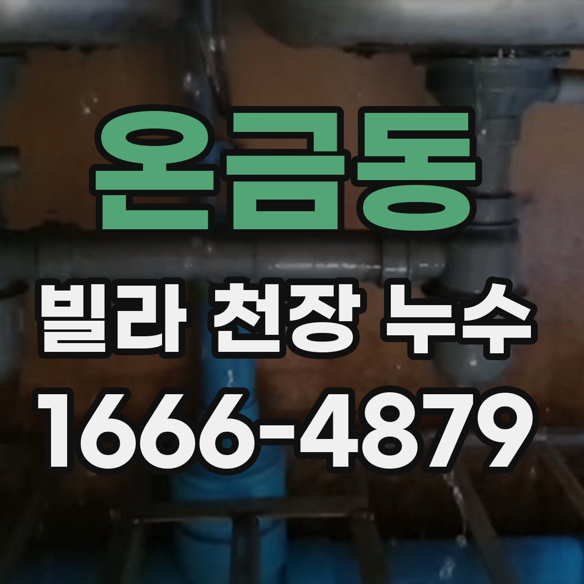 온금동 빌라 천장 누수