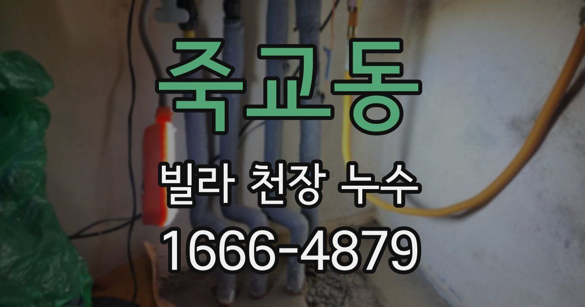 죽교동 빌라 천장 누수