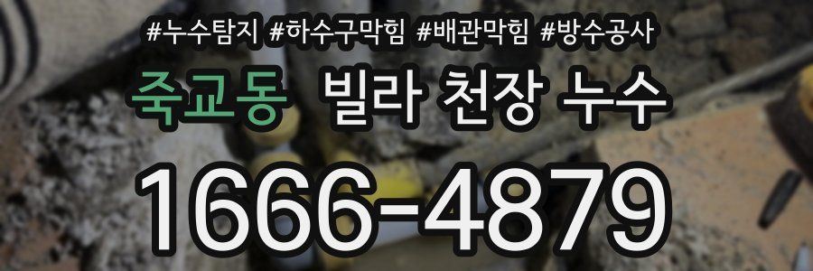죽교동 빌라 천장 누수
