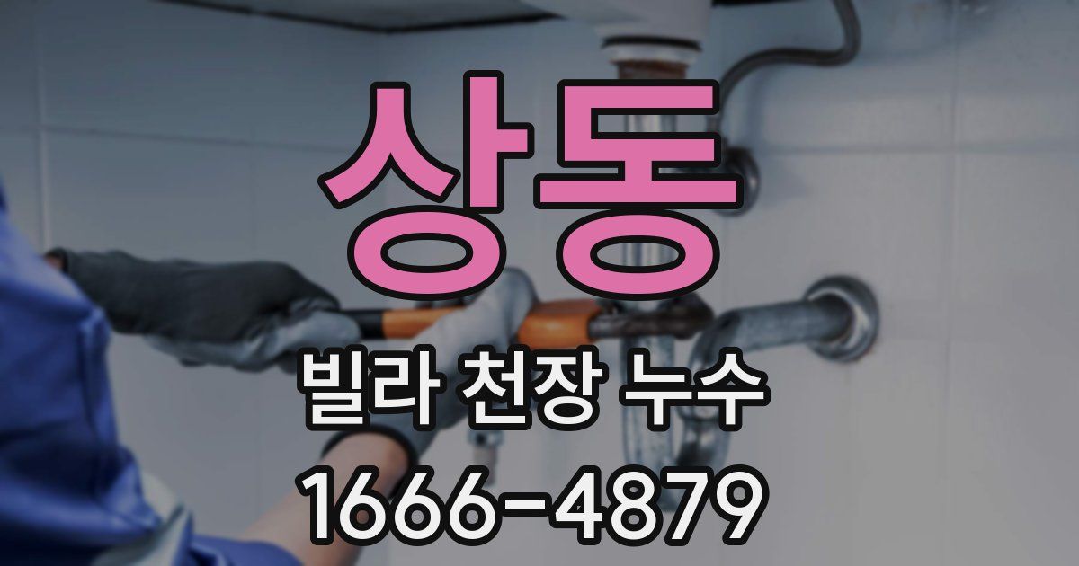 상동 빌라 천장 누수
