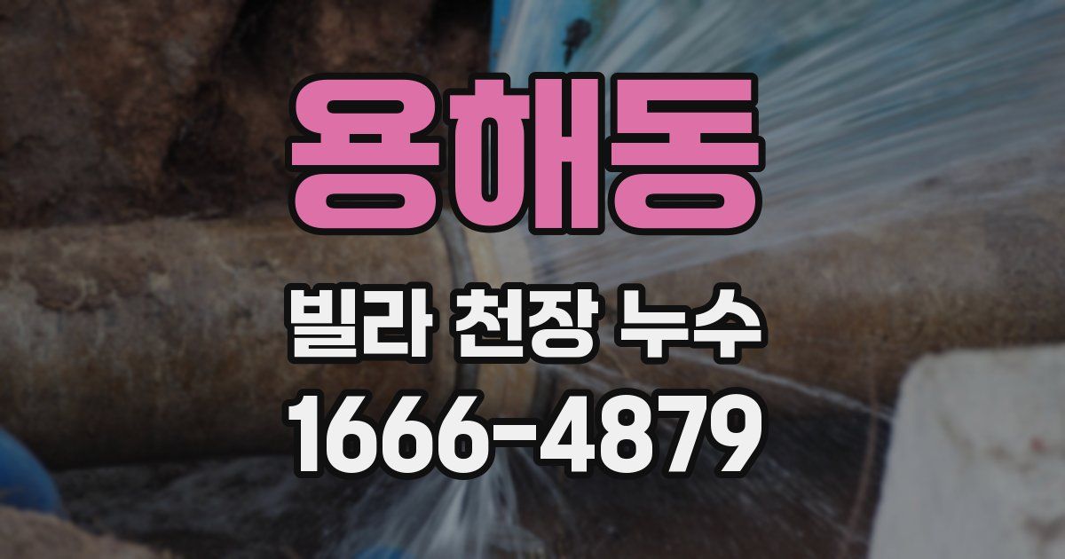 용해동 빌라 천장 누수