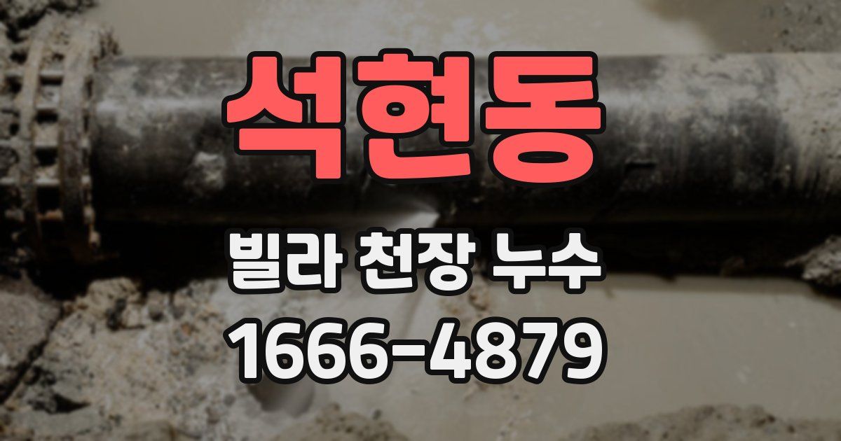 석현동 빌라 천장 누수