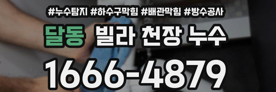 달동 빌라 천장 누수