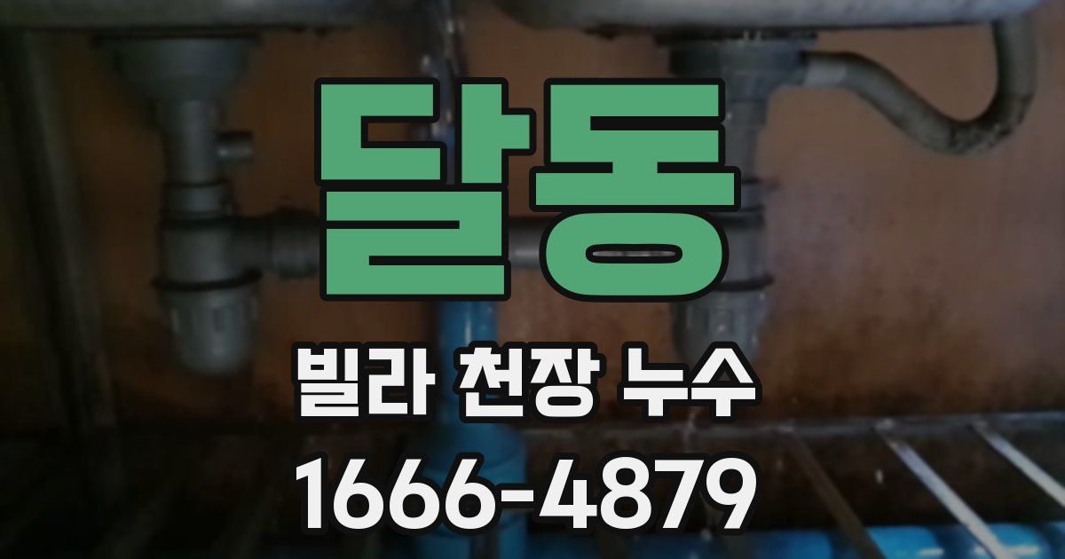 달동 빌라 천장 누수