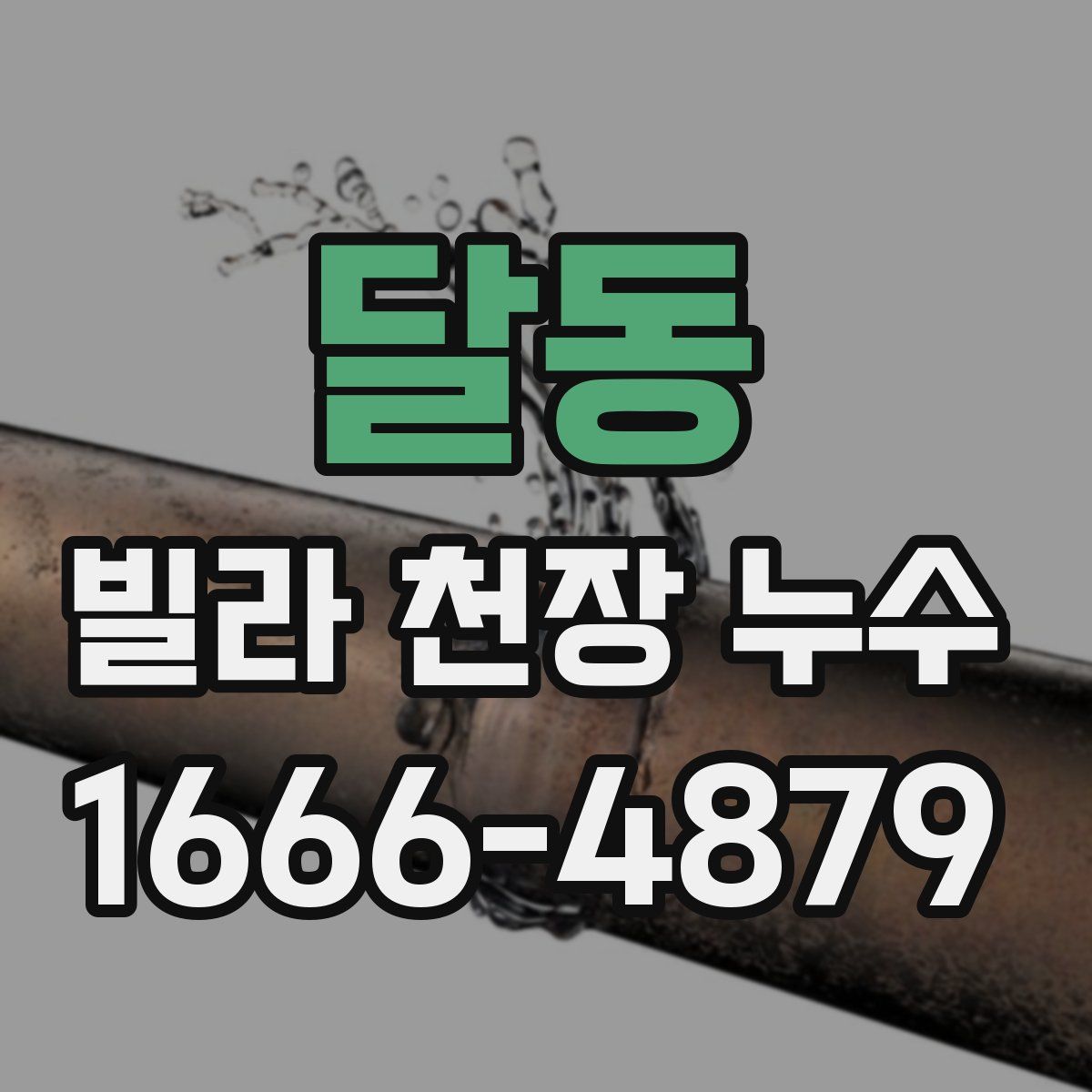 달동 빌라 천장 누수